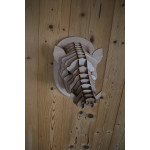 Tête de sanglier en bois 45cm